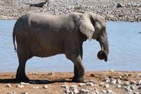Wie bekomm ich den Knoten wieder raus?