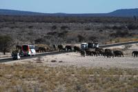 Nach dem Bad geht es nach Hause