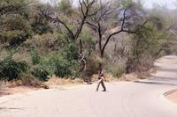 Im Camp der langen Wege