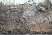 7. Tag - Buffalo Park - Bootsfahrt auf den Okavango - Haubenzwergfischer