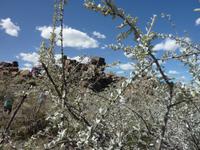 Spielplatz der Giganten