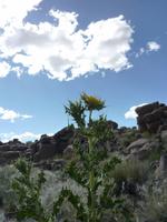 Spielplatz der Giganten