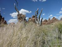 Spielplatz der Giganten