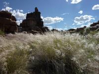 Spielplatz der Giganten