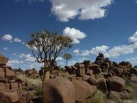 Spielplatz der Giganten