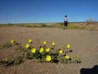 namibische Landschaftsimpression