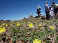 namibische Landschaftsimpression