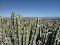 namibische Landschaftsimpression