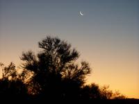 der Mond ist aufgegangen..