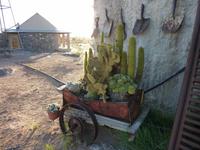 Alte Kalköfen Lodge