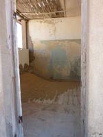 und die Wüster erobert alles zurück..