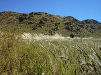 namibische Landschaftsimpression
