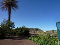 Gemüsegarten auf der Farm