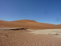 Dead Vlei
