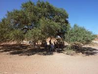 Warten auf den Jeep..