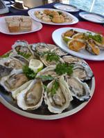 mit Austern
