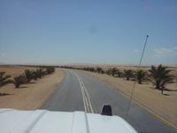 zwischen Walvis Bay und Swakopmund