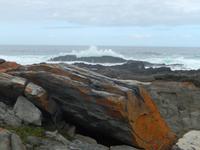 Küste im Tsitsikamma-Nationalpark