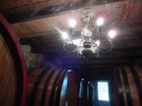 Kellerführung im Weingut Blauuwklippen