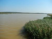 Boots-Safari St. Lucia