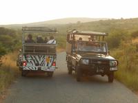 Auf Safari im Hluhluwe-Imfolozi-Nationalpark