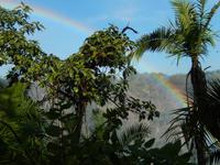 An den Victoria-Falls