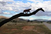 Hier geht`s nach Hammerstein