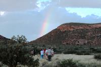 Katzentour auf Hammerstein