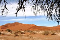Wanderung zum Dead Vlei