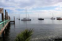 Catamaranfahrt Walvis Bay