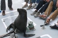 Gibt`s jetzt Frühstück?