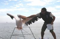 Von Marko gibt`s einen Fisch 