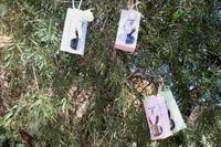 Ostersonntag an der Spitzkoppe