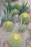 5 Schwiegermütterstühle