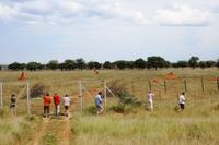 Termitenhügel haben eine magische Anziehungskraft