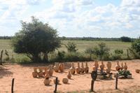 Unterwegs in Namibia