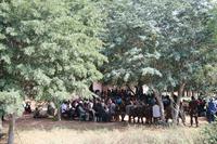 Schon wieder eine Versammlung