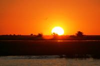 Sonnenuntergang am Chobe