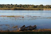 Am Ufer des Okavango