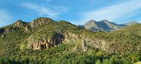 82 Richtung Oudtshoorn