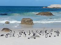 Boulders Beach