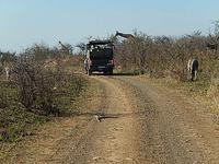 Umfolozi im Jeep mittendrin