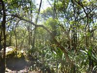 Wanderweg am God' Window