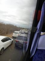 Stau im Krüger Park