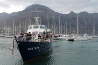 Schiff zur Robbeninsel