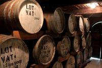 Auf dem Weingut Blaauwklippen