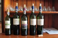 Weinprobe auf dem Weingut Blaauwklippen