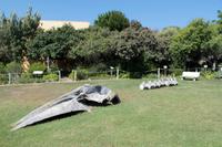 Bartholomeu Diaz Museum in Mossel Bay