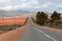 On the road again ... 