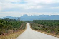 On the road again ... 